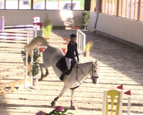gina hanauer güstrow